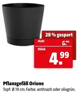 Der Grissemann Pflanzgefäß Orione Angebot