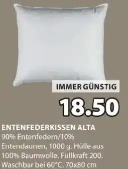 JYSK Entenfederkissen alta Angebot