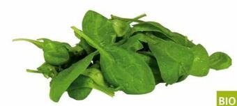 Transgourmet Bio Baby Spinat Angebot