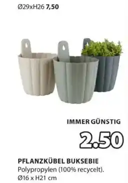 JYSK Pflanzkübel buksebie Angebot