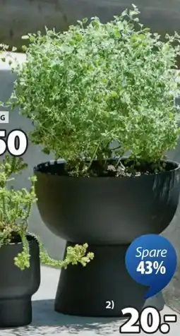 JYSK Pflanzkübel lomvi Angebot