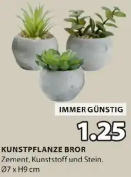 JYSK Kunstpflanze bror Angebot