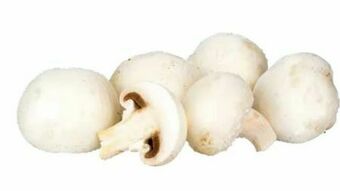 Transgourmet Champignons Angebot