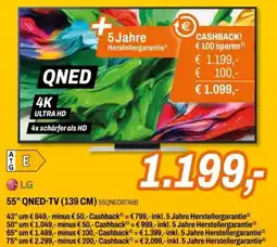 Expert 55" QNED-TV (139 CM) Angebot