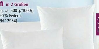 Norma Kopfkissen Angebot