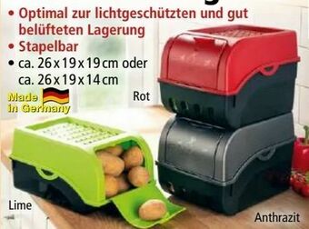 Norma Kartoffel-Gemüse Aufbewahrungsbox Angebot