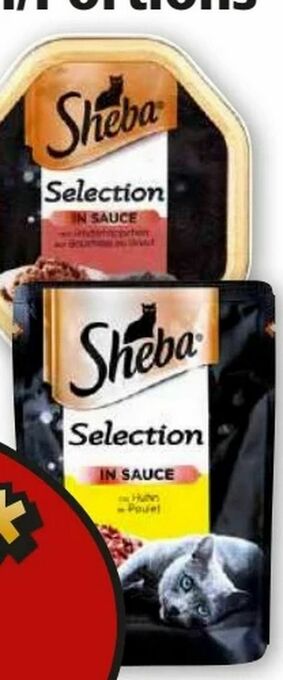 Norma Selection Angebot