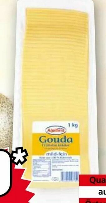 Norma Gouda Angebot