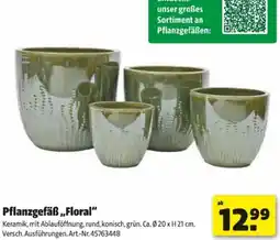 Hagebau Pflanzgefäßen Floral Angebot
