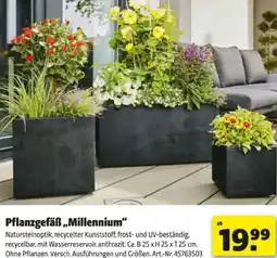 Hagebau Pflanzgefäß,,Millennium Angebot