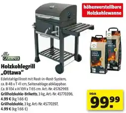 Hagebau Holzkohlegrill „Ottawa" Angebot