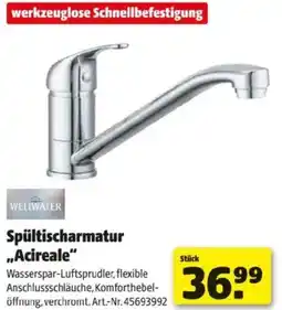 Hagebau Spültischarmatur ,,Acireale Angebot
