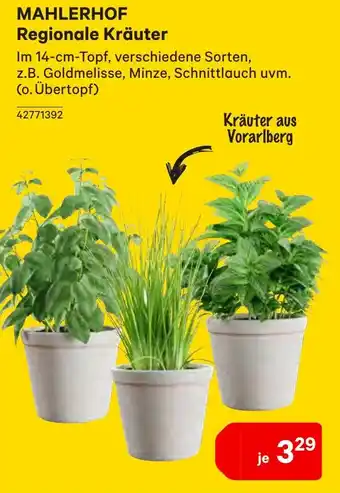 BayWa Mahlerhof Regionale Kräuter Angebot
