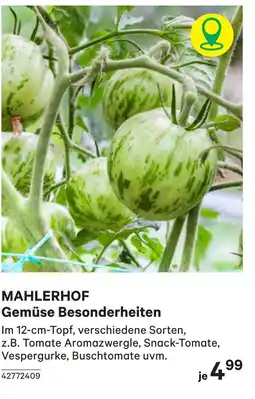 BayWa Mahlerhof gemüse besonderheiten Angebot