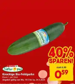 Interspar Knackige Bio-Feldgurke Angebot