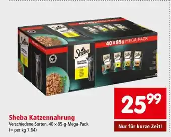 Interspar Sheba Katzennahrung Angebot