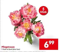 Interspar Pfingstrosen Angebot