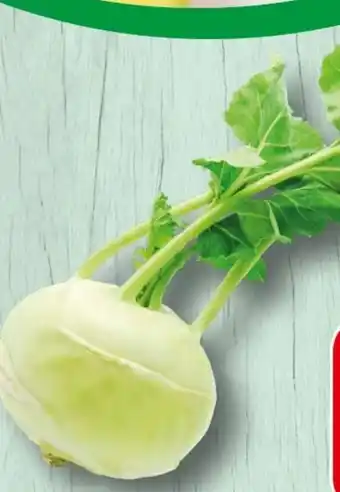 Spar Kohlrabi Angebot