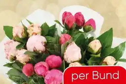 Eurospar Pfingstrosen Angebot