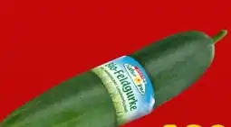 Interspar Spar Natur pur Bio-Feldgurke Angebot