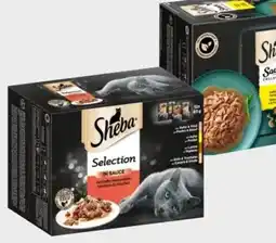 Interspar Sheba Katzennahrung Angebot