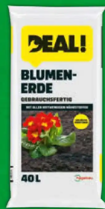 Hagebau Deal! Blumenerde Angebot