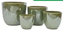 Hagebau Pflanzgefäß Floral Angebot