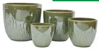Hagebau Pflanzgefäß Floral Angebot