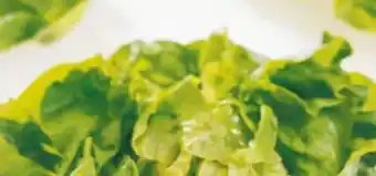 Eurospar Kopfsalat Angebot