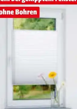 Hagebau Plissee Angebot