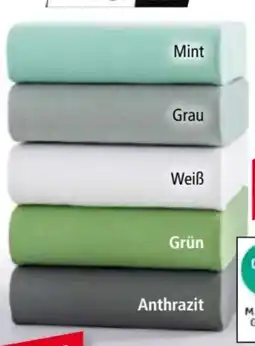 Norma Dreamtex Premium-Jersey-Spannbetttuch Angebot