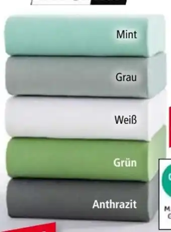 Norma Dreamtex Premium-Jersey-Spannbetttuch Angebot