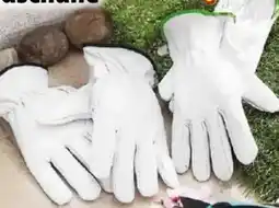 Norma Powertec Garden Gartenhandschuhe Angebot