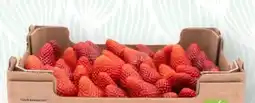 SPAR Gourmet Erdbeeren Angebot