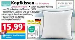 Norma Kopfkissen Angebot