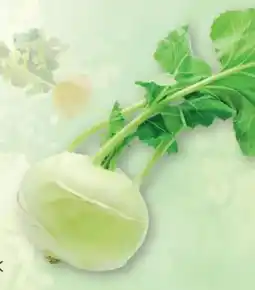 SPAR Gourmet Familie Buchinger Kohlrabi Angebot
