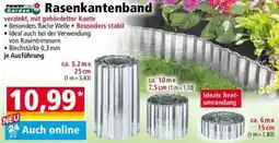 Norma Rasenkantenband Angebot