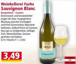 Norma Weinkellerei Fuchs Sauvignon Blanc Angebot