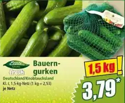 Norma Bauern-gurken Angebot