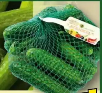 Norma Ernte Krone Bauerngurken Angebot