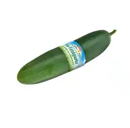 Interspar Knackige Bio-Feldgurke INTERSPAR Angebot