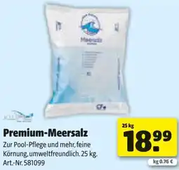 Hagebau Premium-Meersalz Angebot