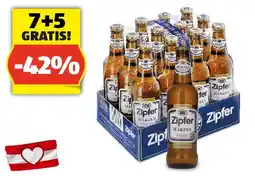 Hofer ZIPFER Märzen*, 0,33 l Angebot