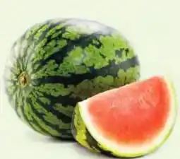 Hofer Hofer Marktplatz Wassermelonen Angebot