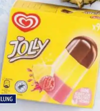 Hofer Eskimo Jolly Angebot