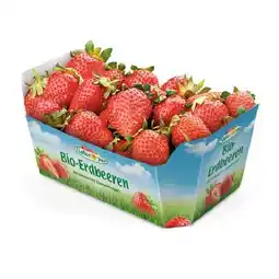 Spar Geschmackvolle Bio-Erdbeeren SPAR Angebot