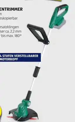 Hofer Ferrex Akku-Rasentrimmer Angebot