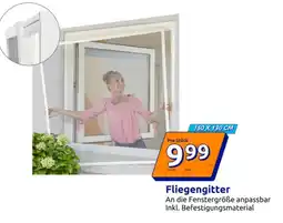 Action Fliegengitter Angebot