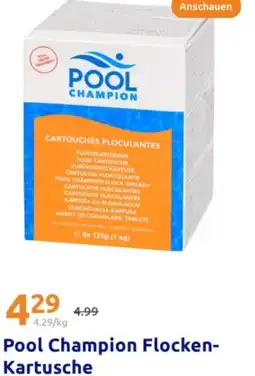 Action Pool champion flocken kartusche Angebot