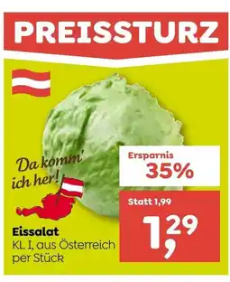 ADEG Eissalat Angebot